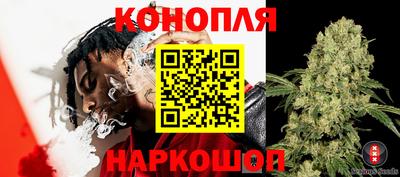 индика Тара
