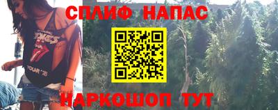 индика Тара