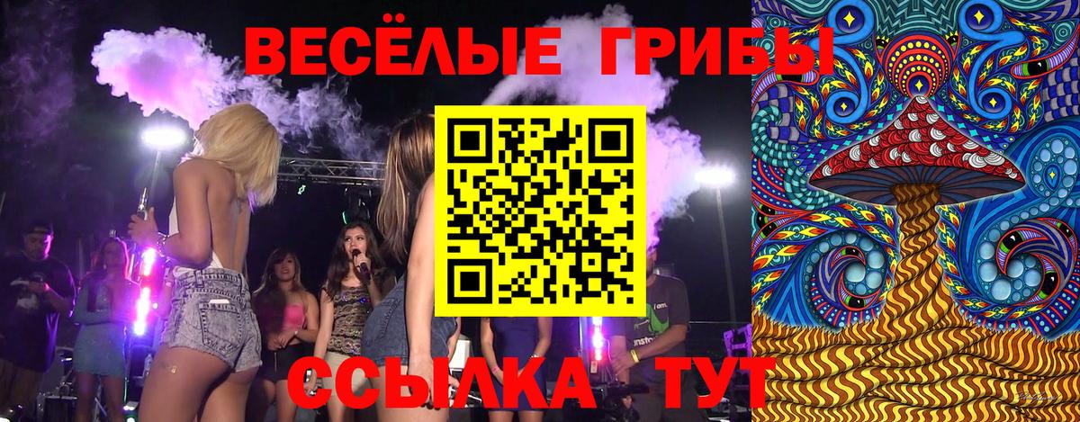 Псилоцибиновые грибы GOLDEN TEACHER Алексеевка